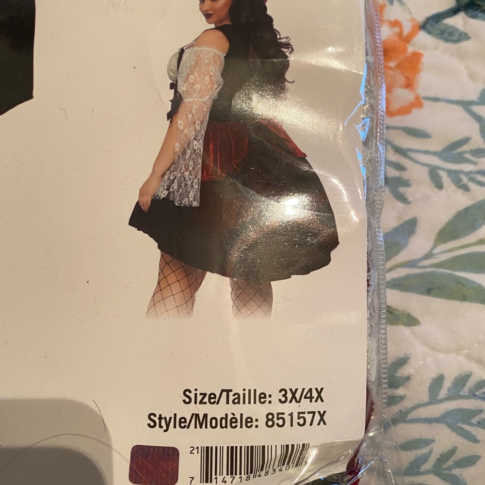 Wicked Wench Halloween Costume never worn!!